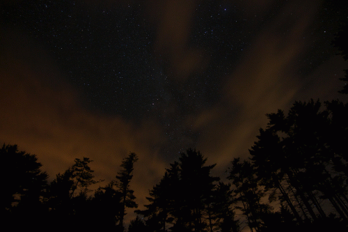 Mountain Hermit : Demo